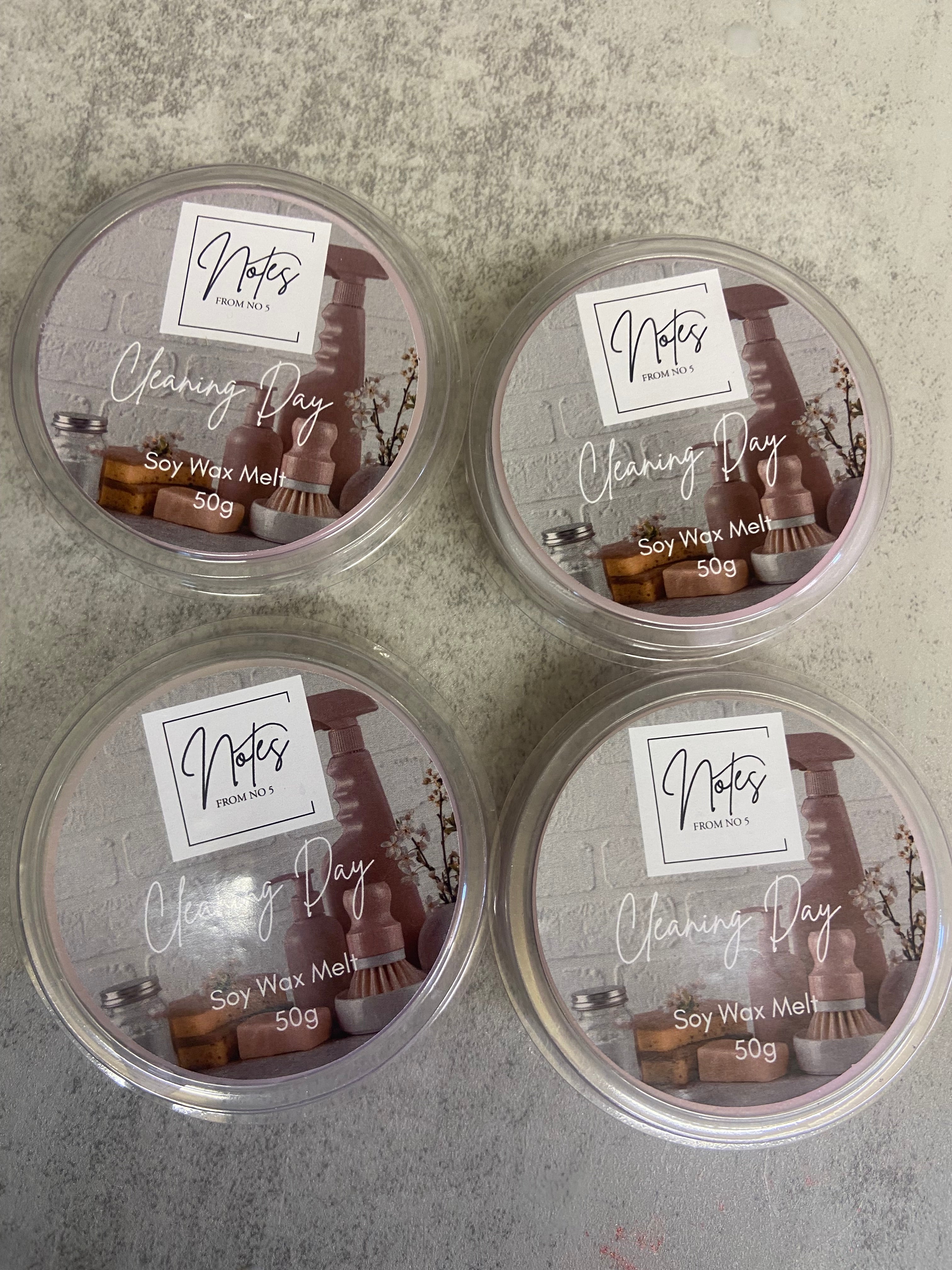 Cleaning Day Eco Soy Deli Pot 50g